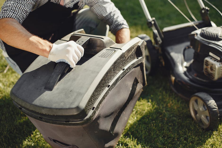 Stihl Battery Edger