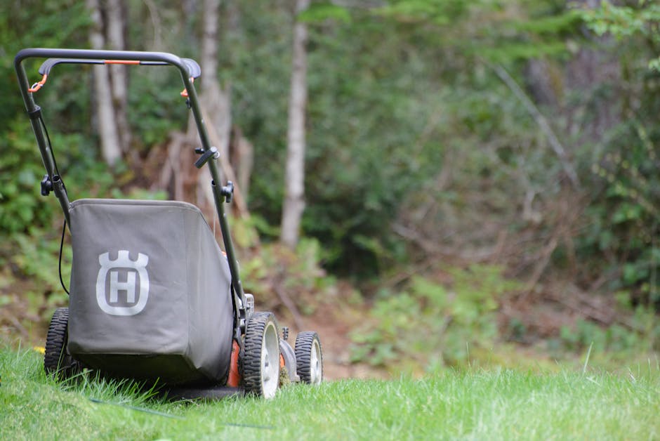 40V Cordless Leaf Blower