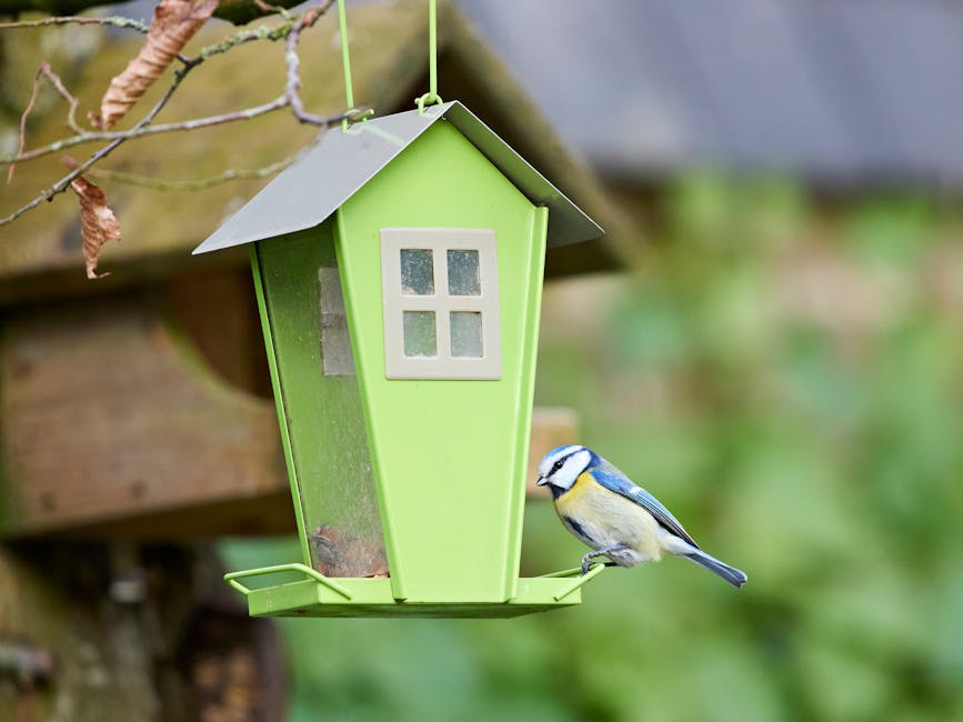 Bird Feeder For Deck — photo by 