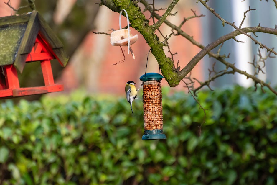 Bird Feeder Ring