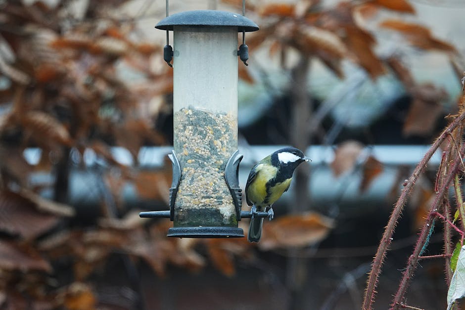 Bird Feeder For Deck — photo by 