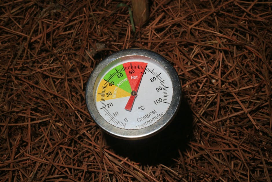 Worm Castings Vs Compost