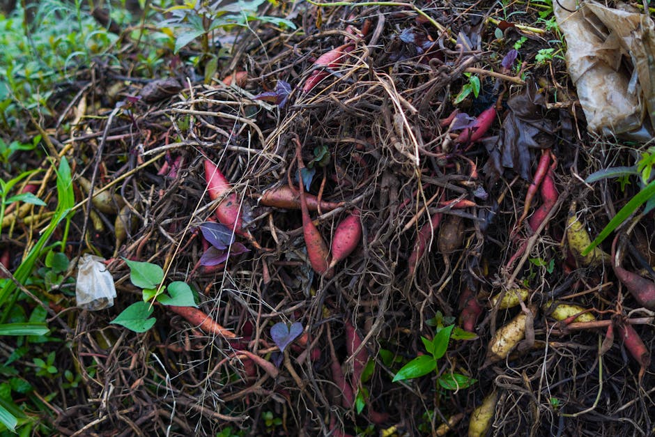Worm Castings Vs Compost