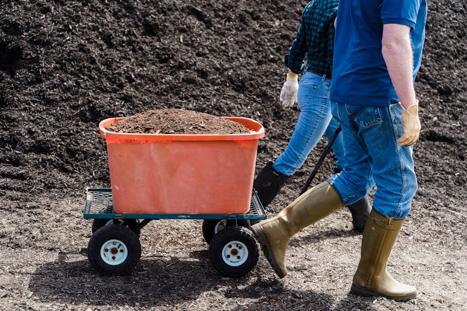 Worm Castings Vs Compost
