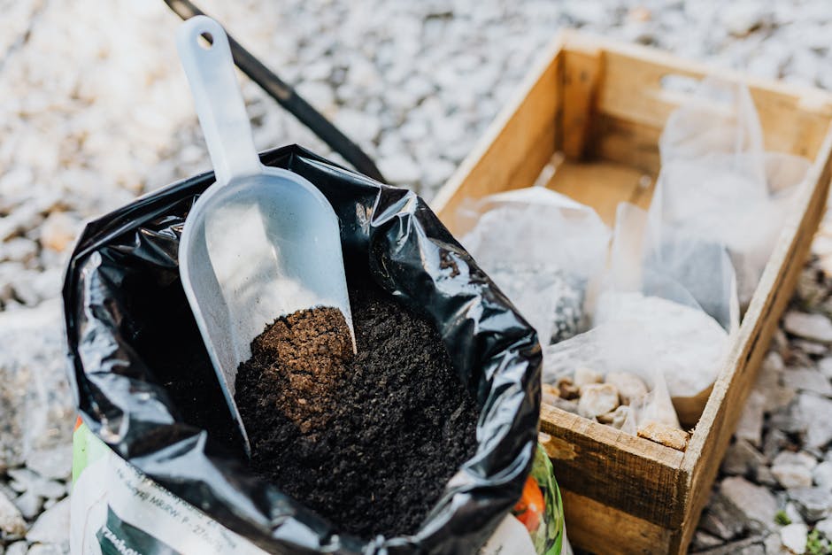 Worm Castings Vs Compost