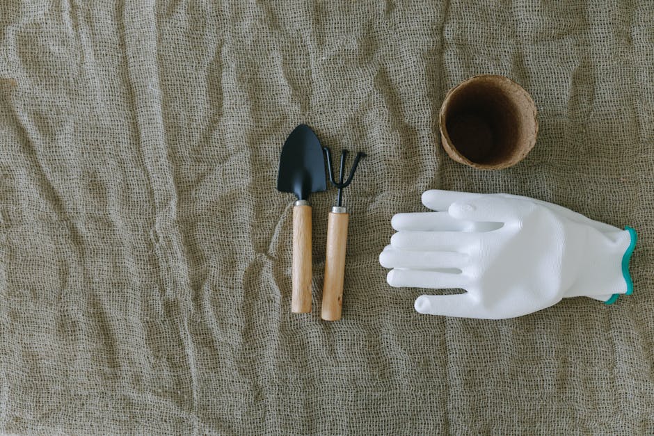 Rose Garden Gloves