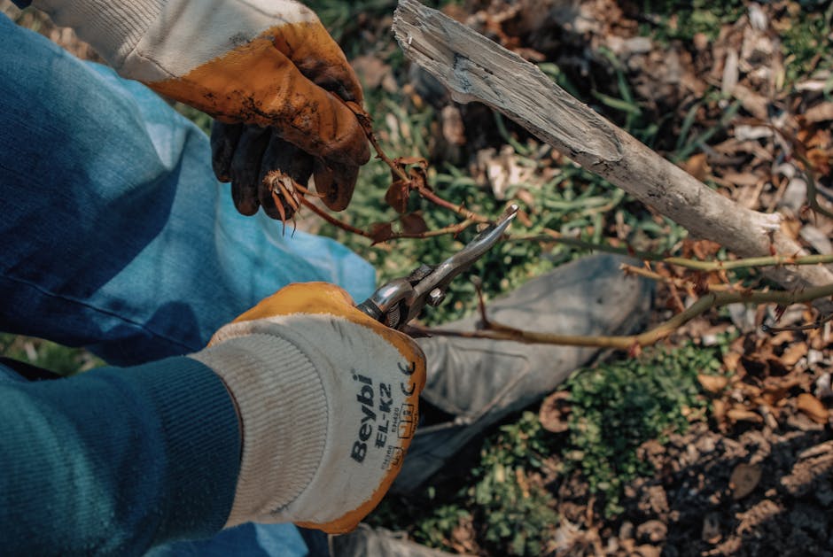 Rose Garden Gloves