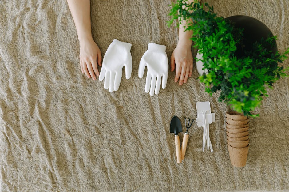 Rose Garden Gloves