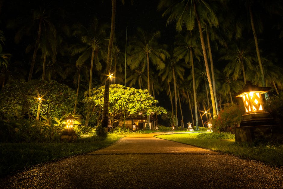 Best Solar Lights For The Garden