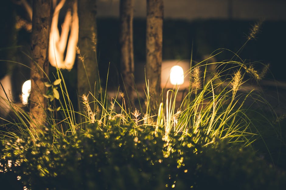 Best Solar Lights For The Garden