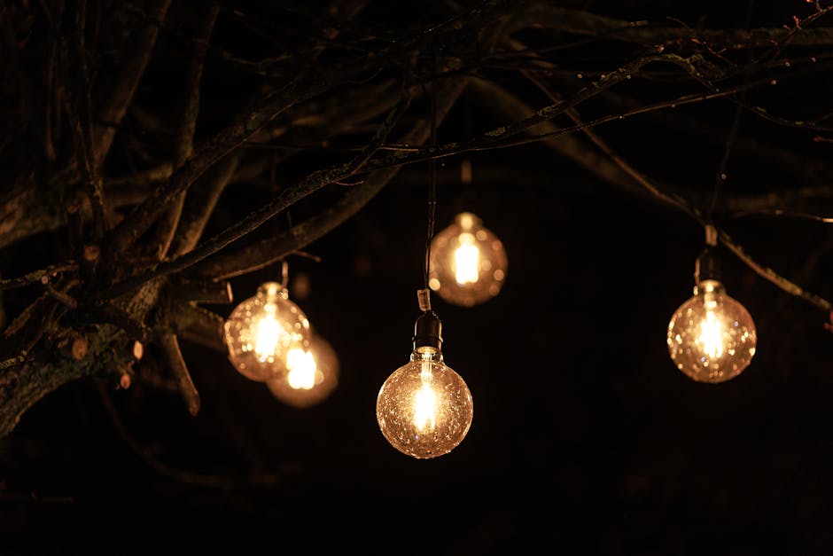 Best Solar Lights For The Garden