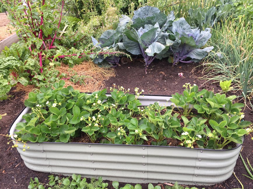 Birdies Metal Raised Garden Beds