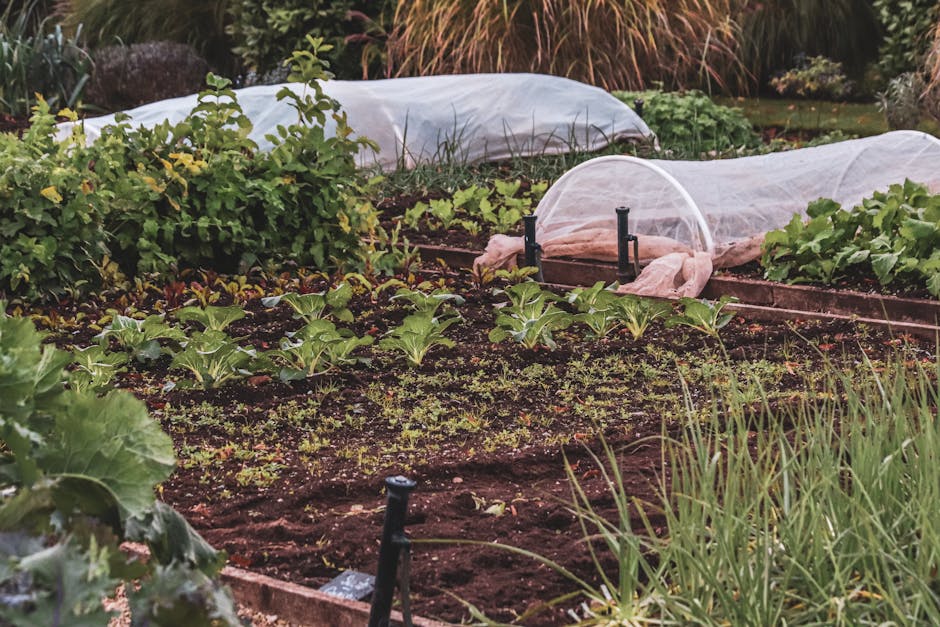 Birdies Metal Raised Garden Beds