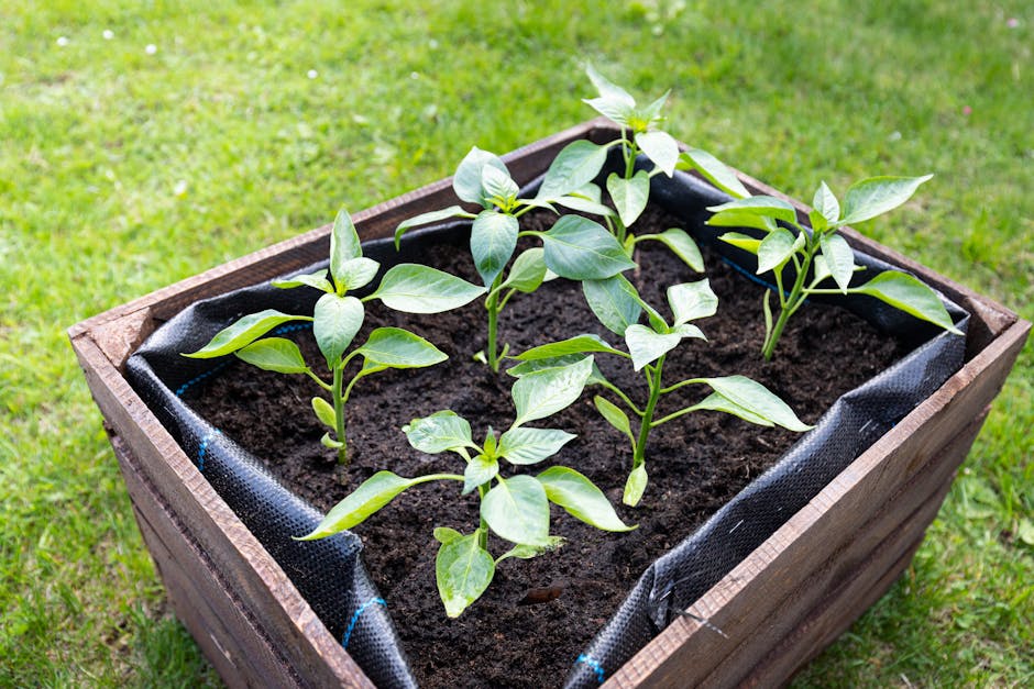 Cedar Raised Bed Kit