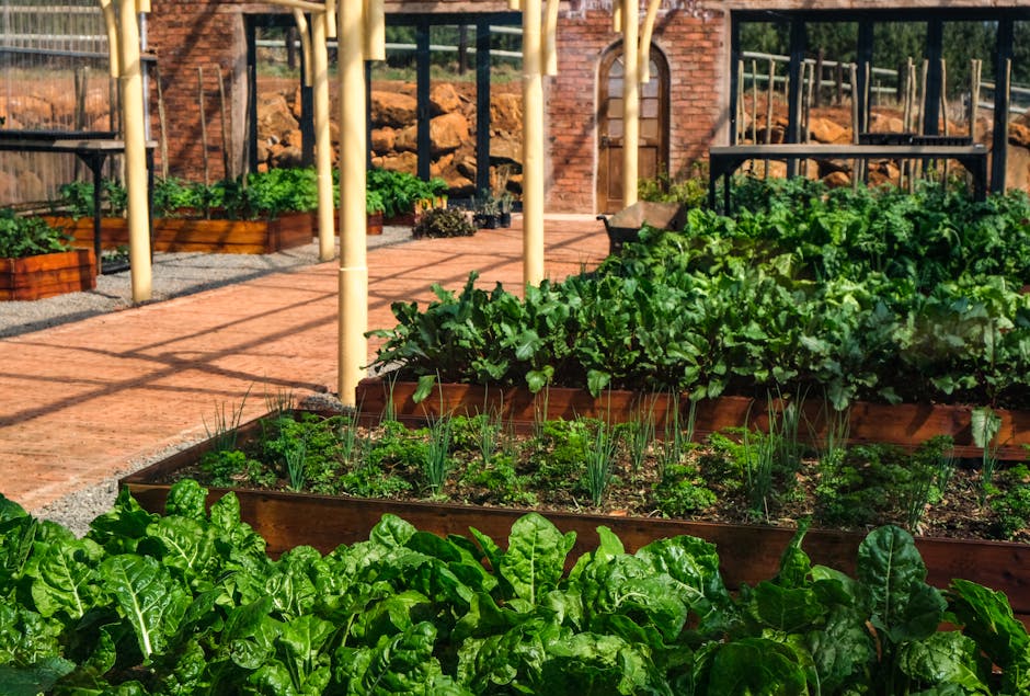 Birdies Metal Raised Garden Beds